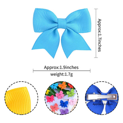 Handmade Ribbon Bow Clip Set