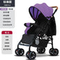 FlexiRide Comfort Stroller