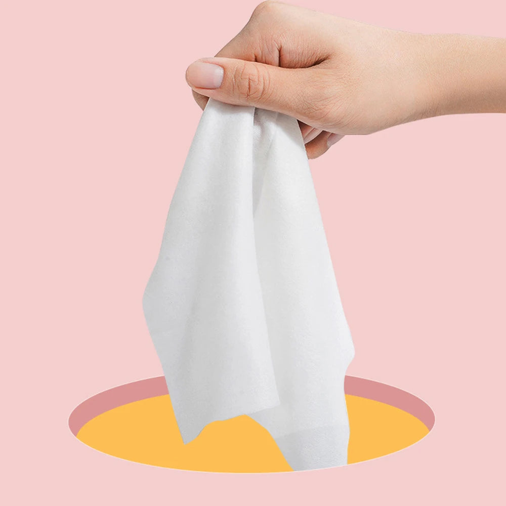 Portable Baby Wet Wipes Pack