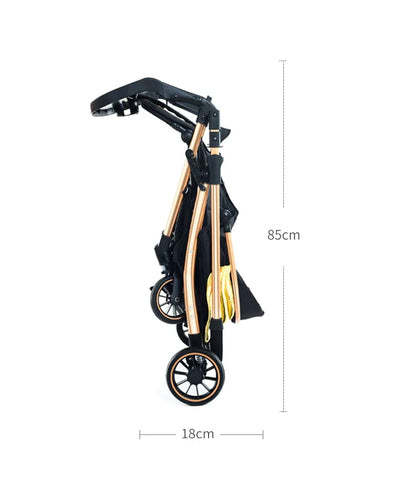 FlexiRide Comfort Stroller